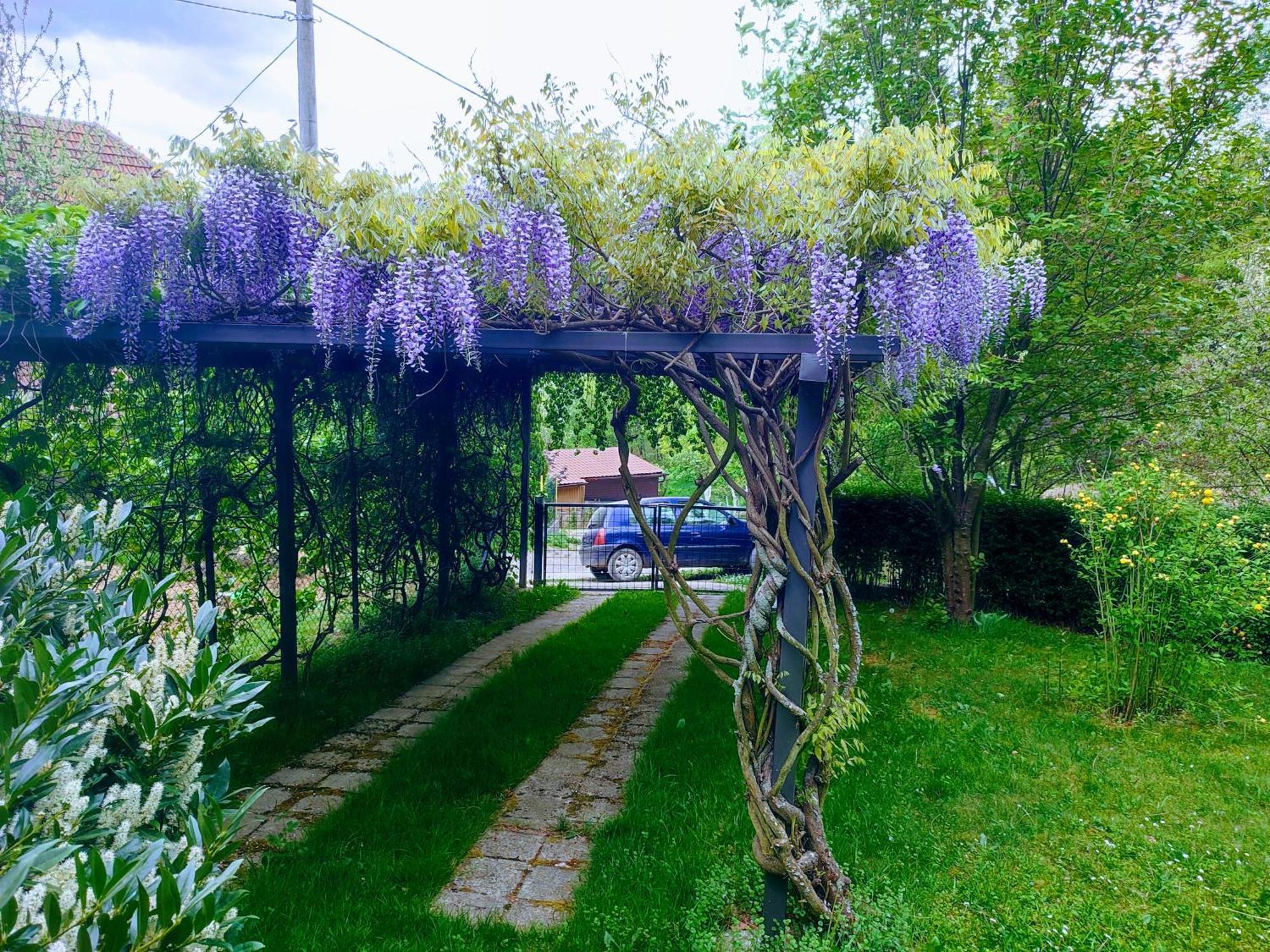Garden House *