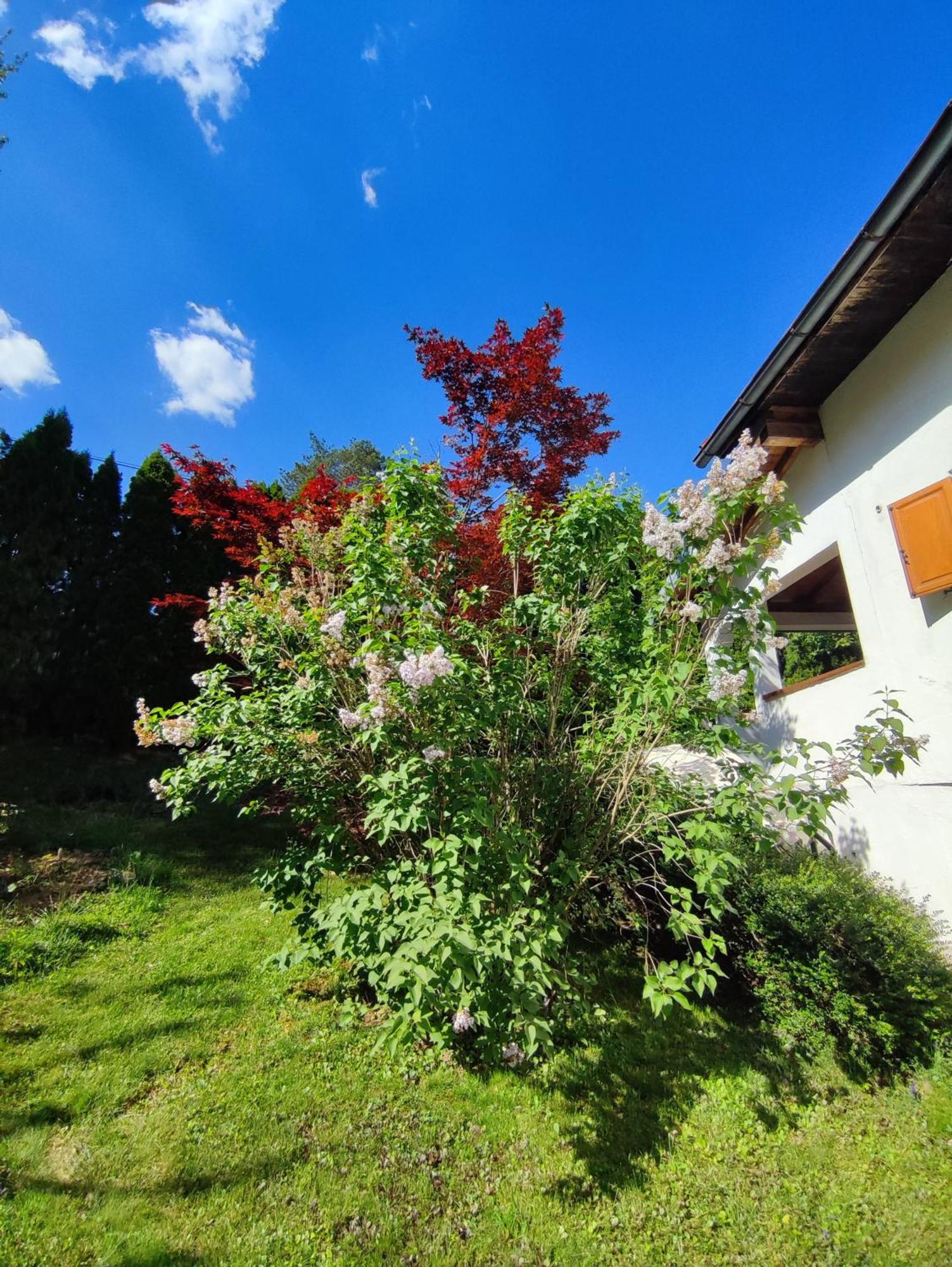 Garden House Holiday home