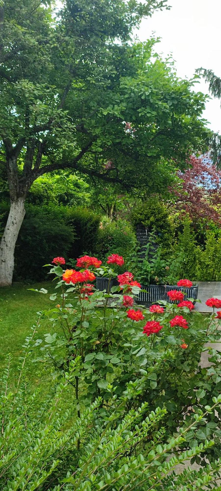 Garden House *
