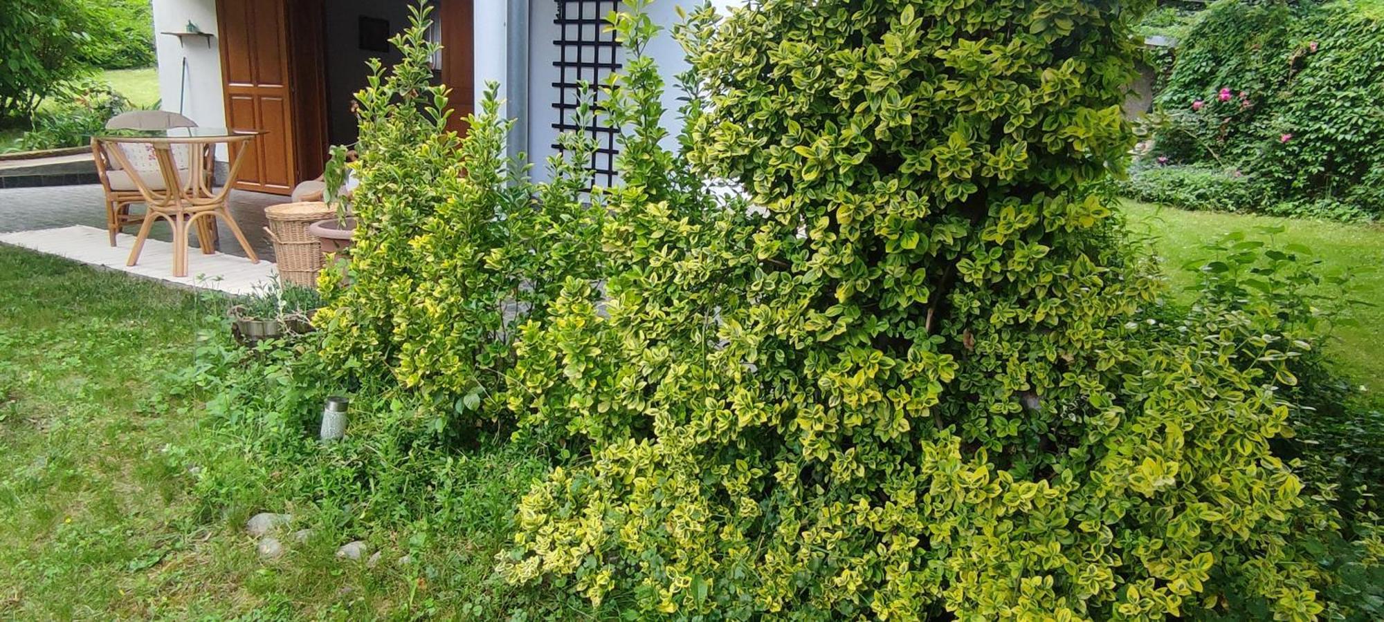 Garden House